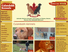 Tablet Screenshot of foxredlabs.ca